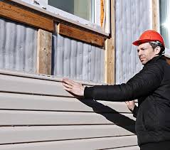 Best Vinyl Siding Installation  in Lake Of The Woods, IL